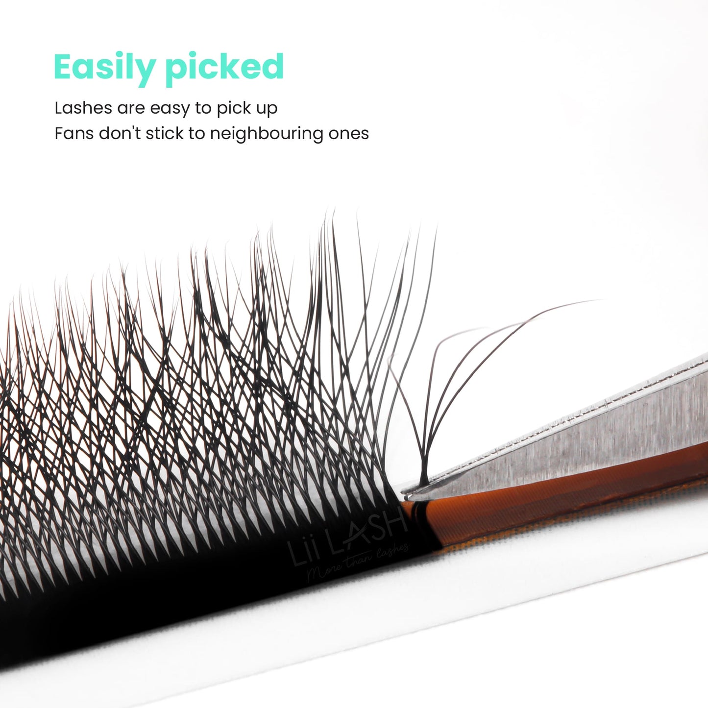 4DW-Lash-easily-picked-up