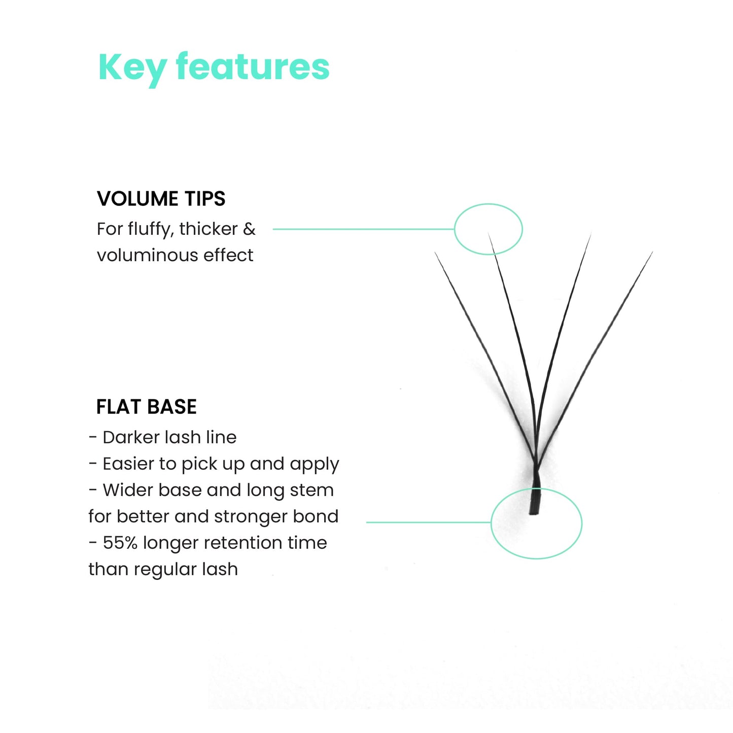 4DW-eylash-key-features