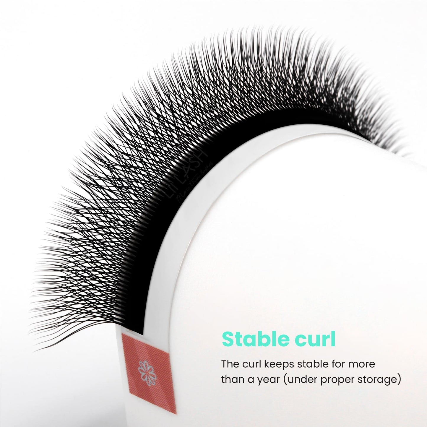 4DW-lash-extension-stable-curl