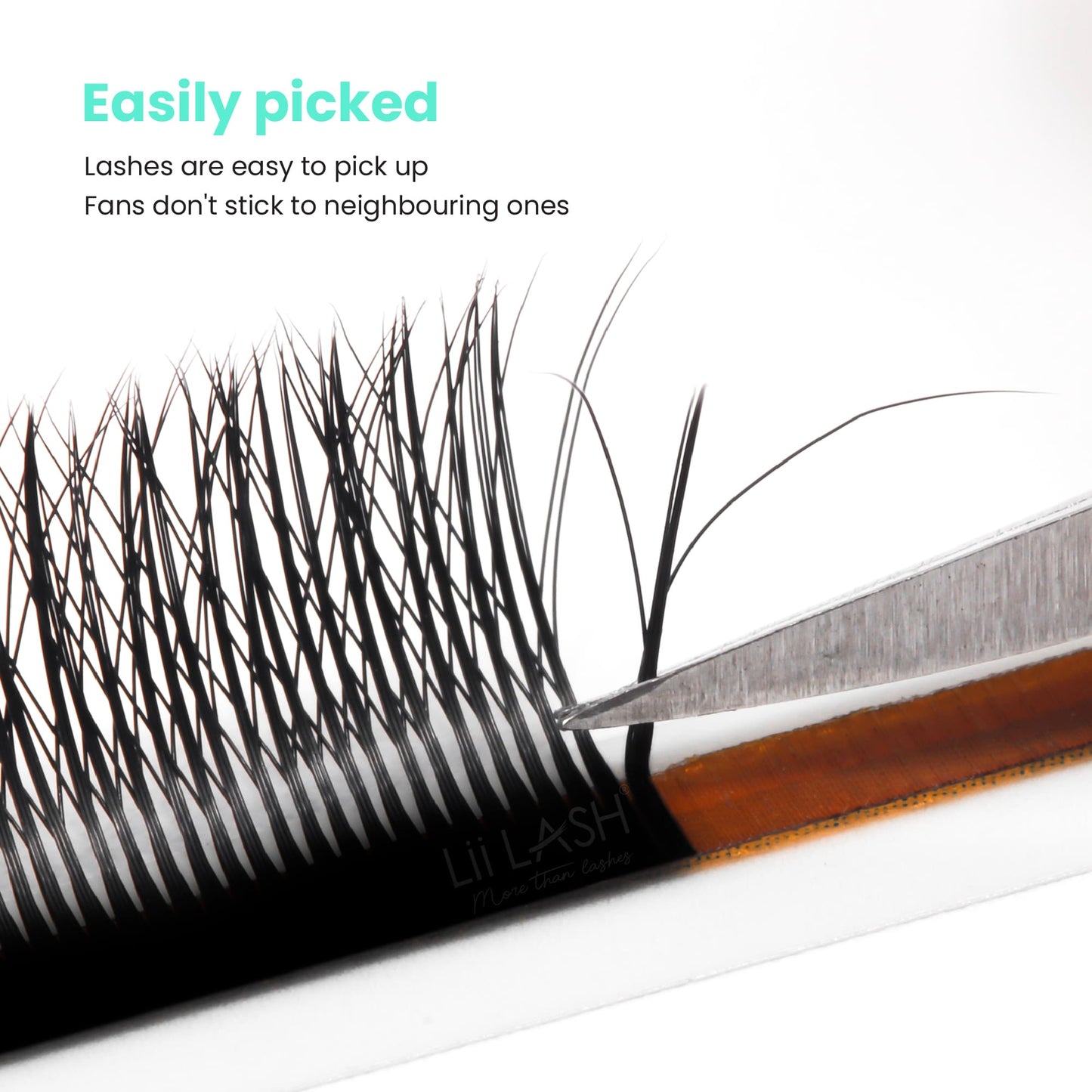 5D-Wispy-W-Lash-easily-picked-up