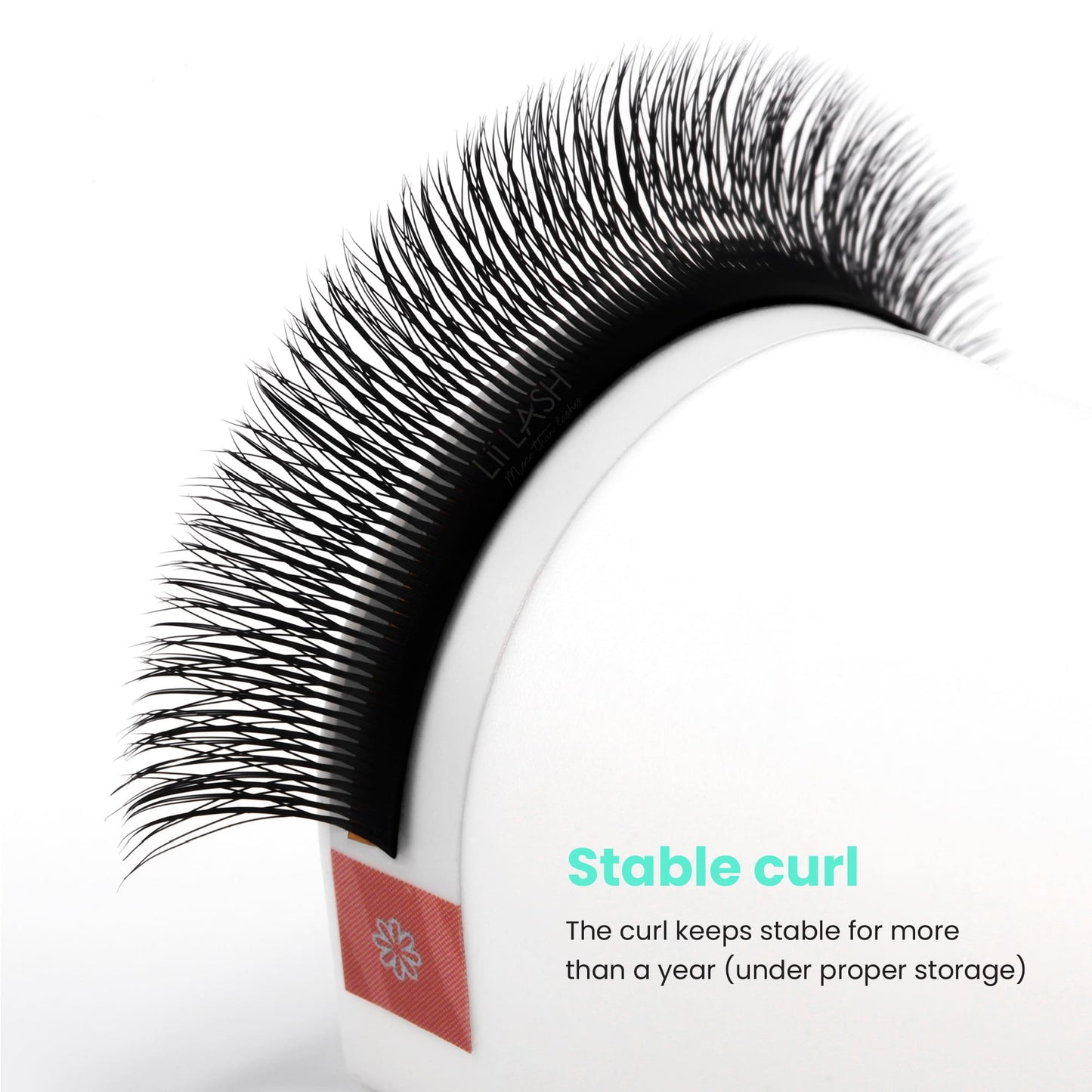 5D-Wispy-W-lash-extension-stable-curl