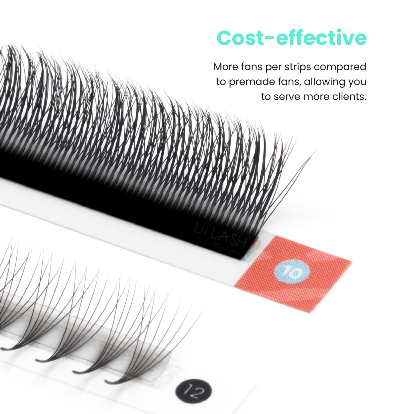 5D-Wispy-W-lash-strip-vs-Premade-lash-strip