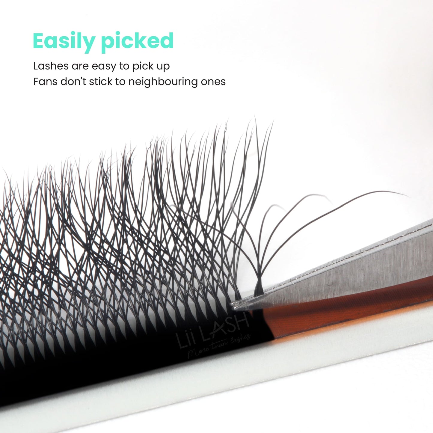 5DW-Lash-easily-picked-up