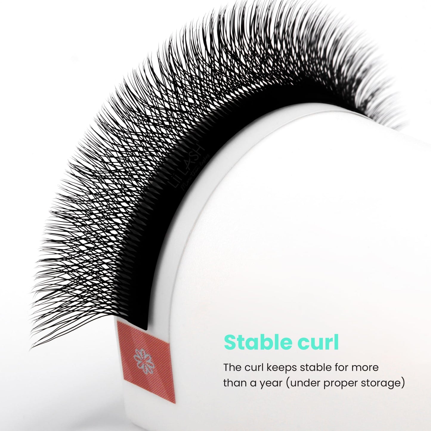 5DW-lash-extension-stable-curl