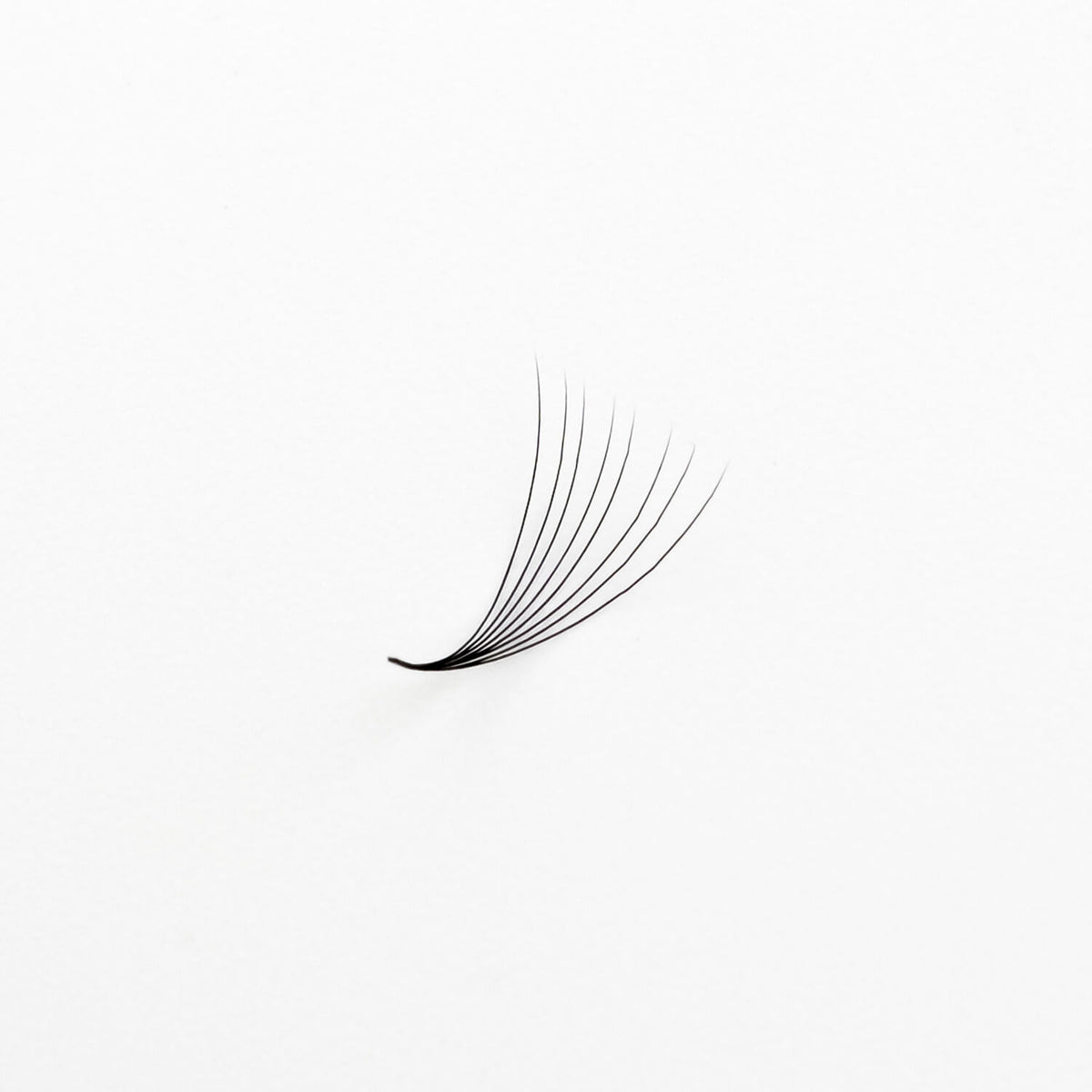 New 2026 Ultra Speed Fan Lash Box - Fresh Mosaic Packaging