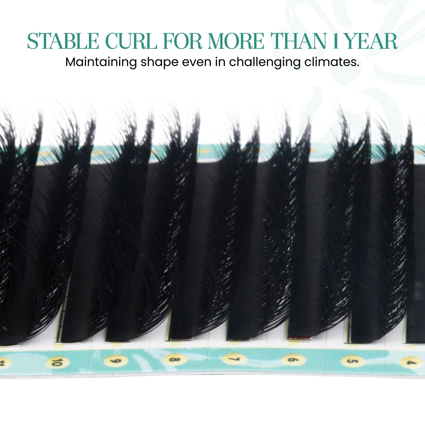 Camellia Eyelash Extensions