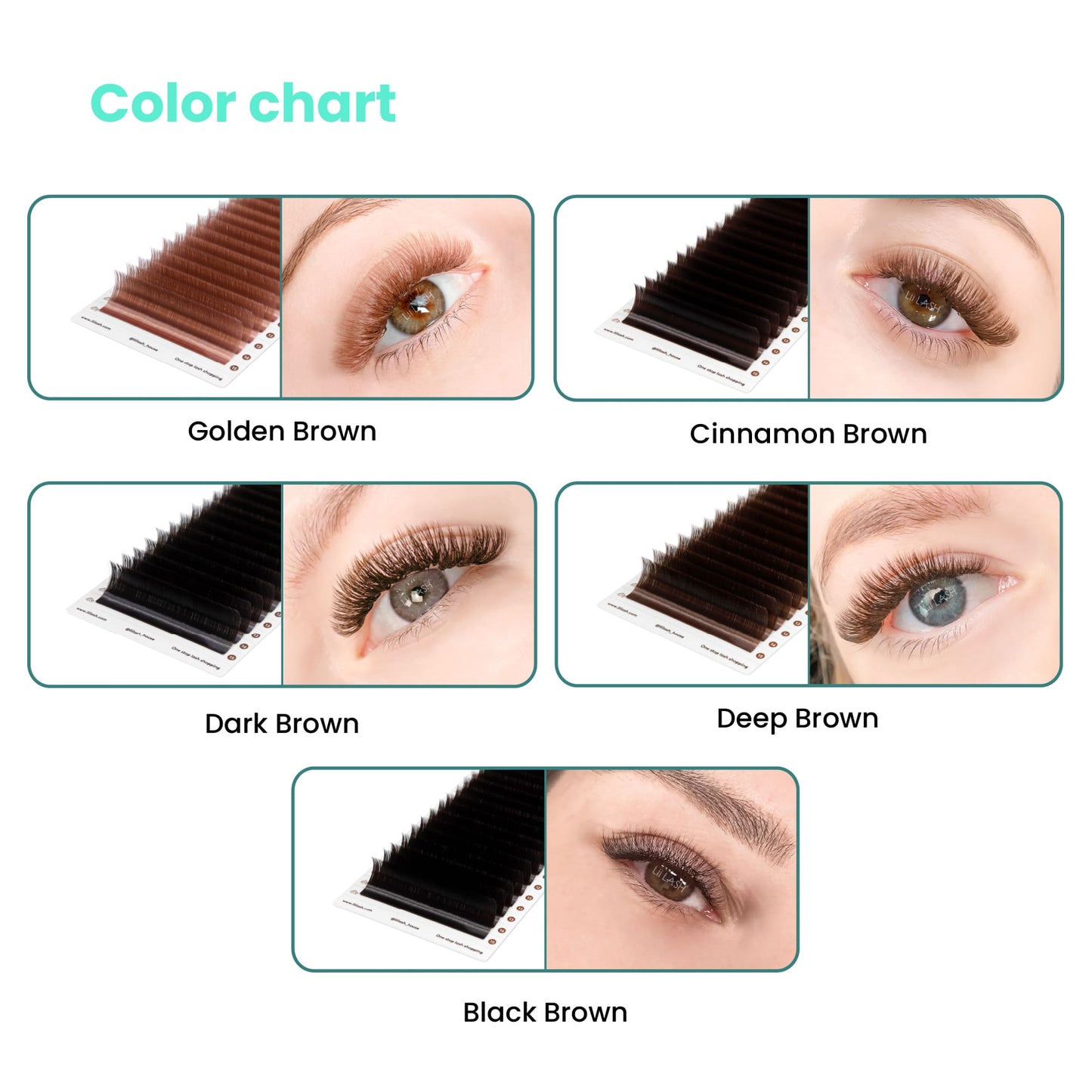 Close-up image highlighting the results of 5 shades of brown: golden cinnamon, dark, deep, and black brown