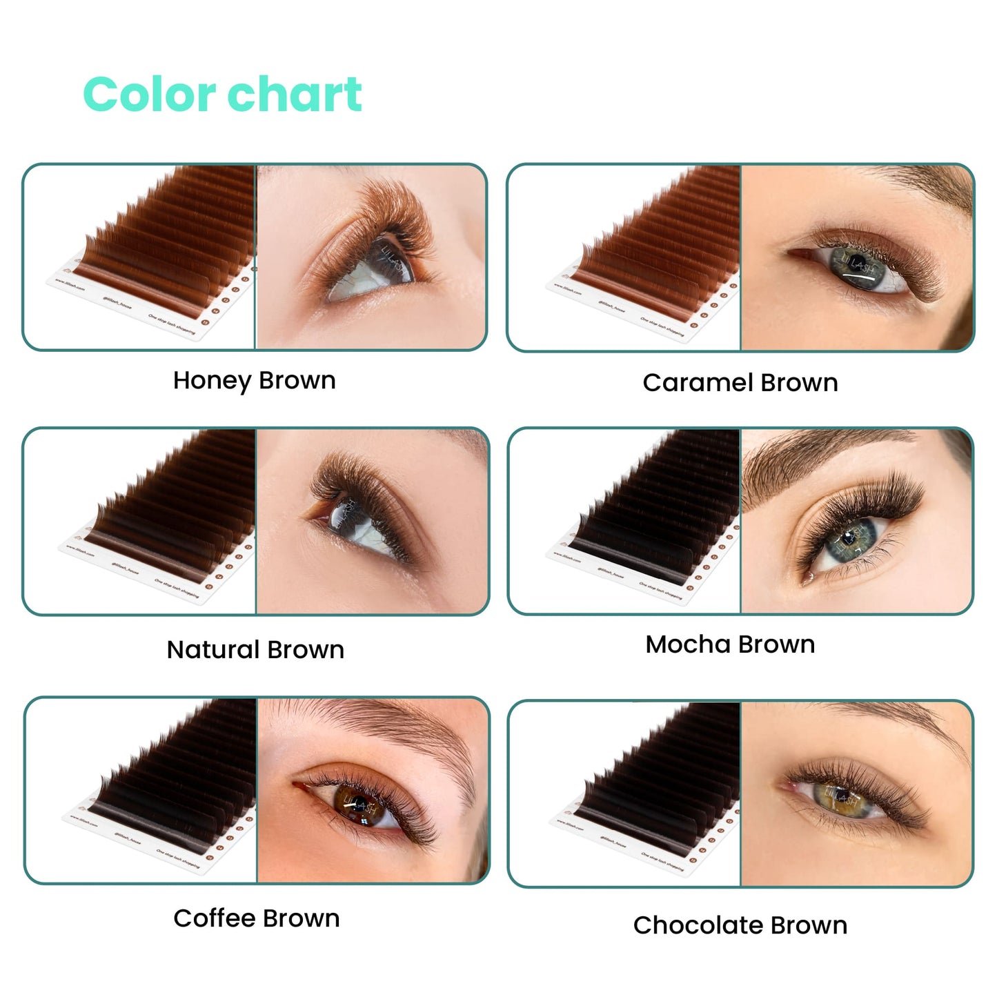 Close-up of eyes displaying the outcome of 6 brown shades: honey, caramel, natural, mocha, coffee, and chocolate