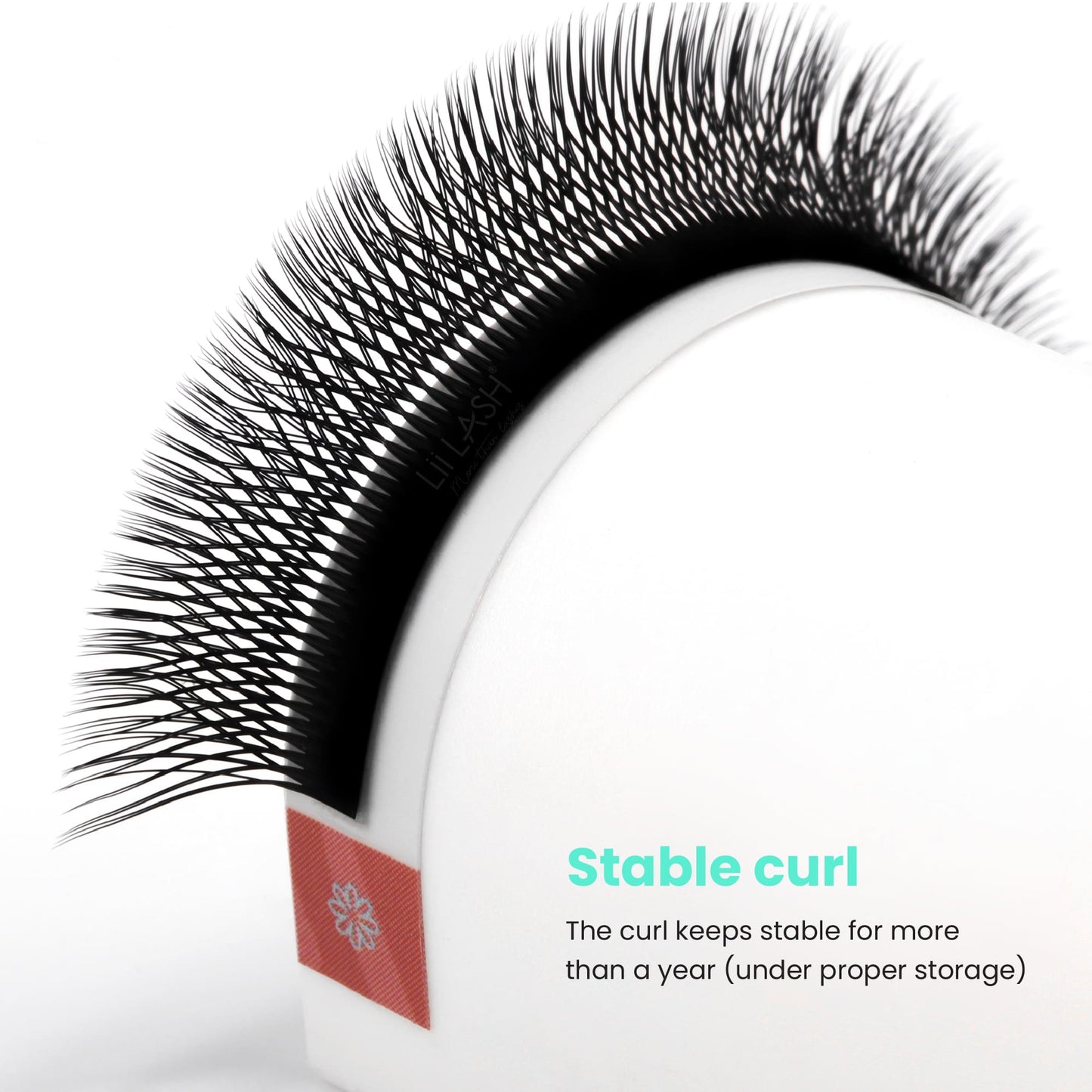 Double-3D-W-lash-extension-stable-curl