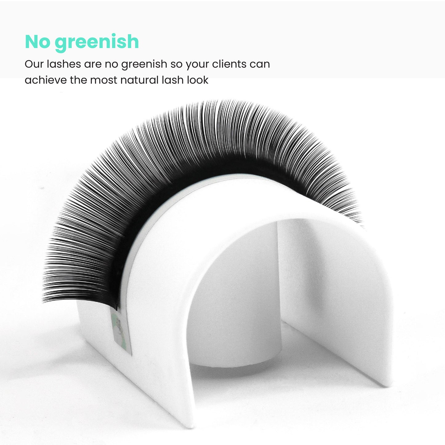 Super Mink classic lash strip placed on a glue ring, showcasing beautifully dense and even lengths within the lash strip.