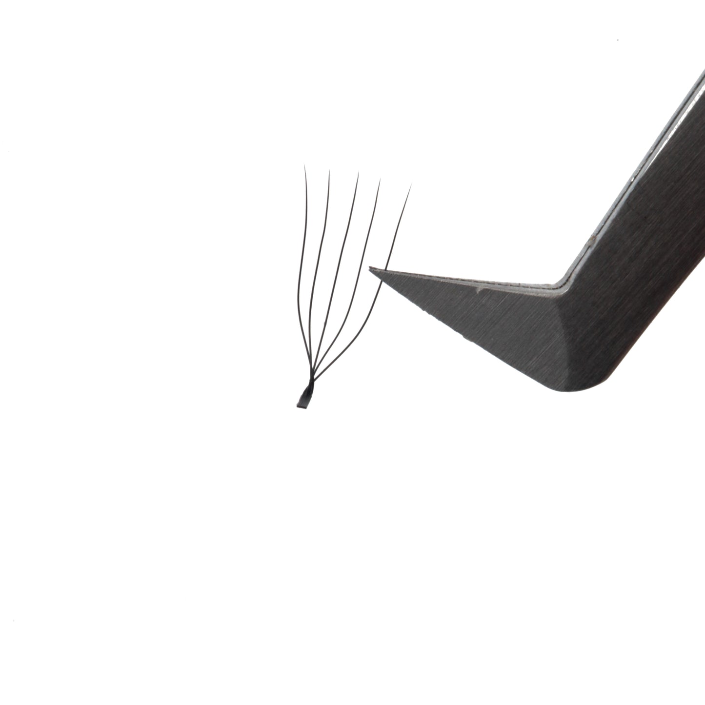 U-Shaped Lash Extensions