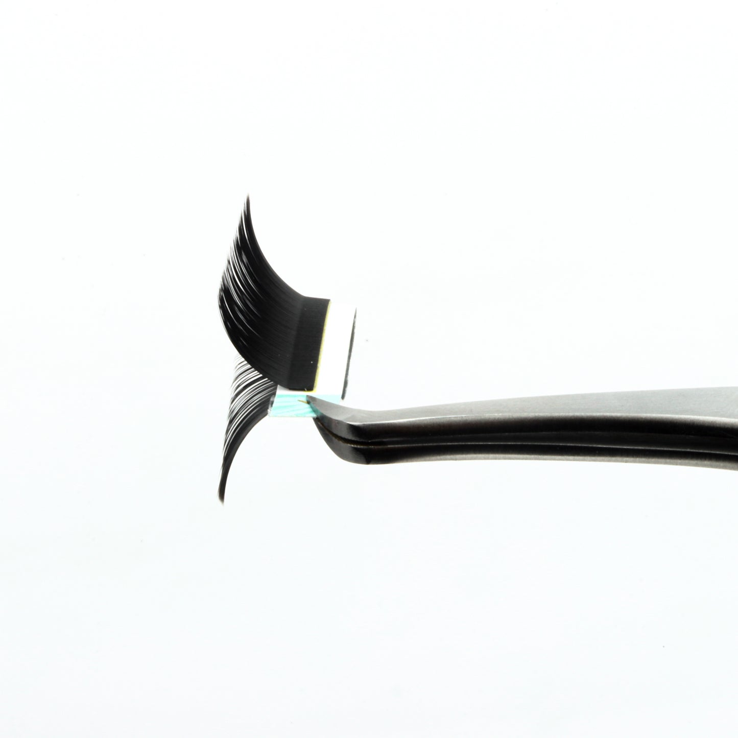 LB Curl Lash Extensions