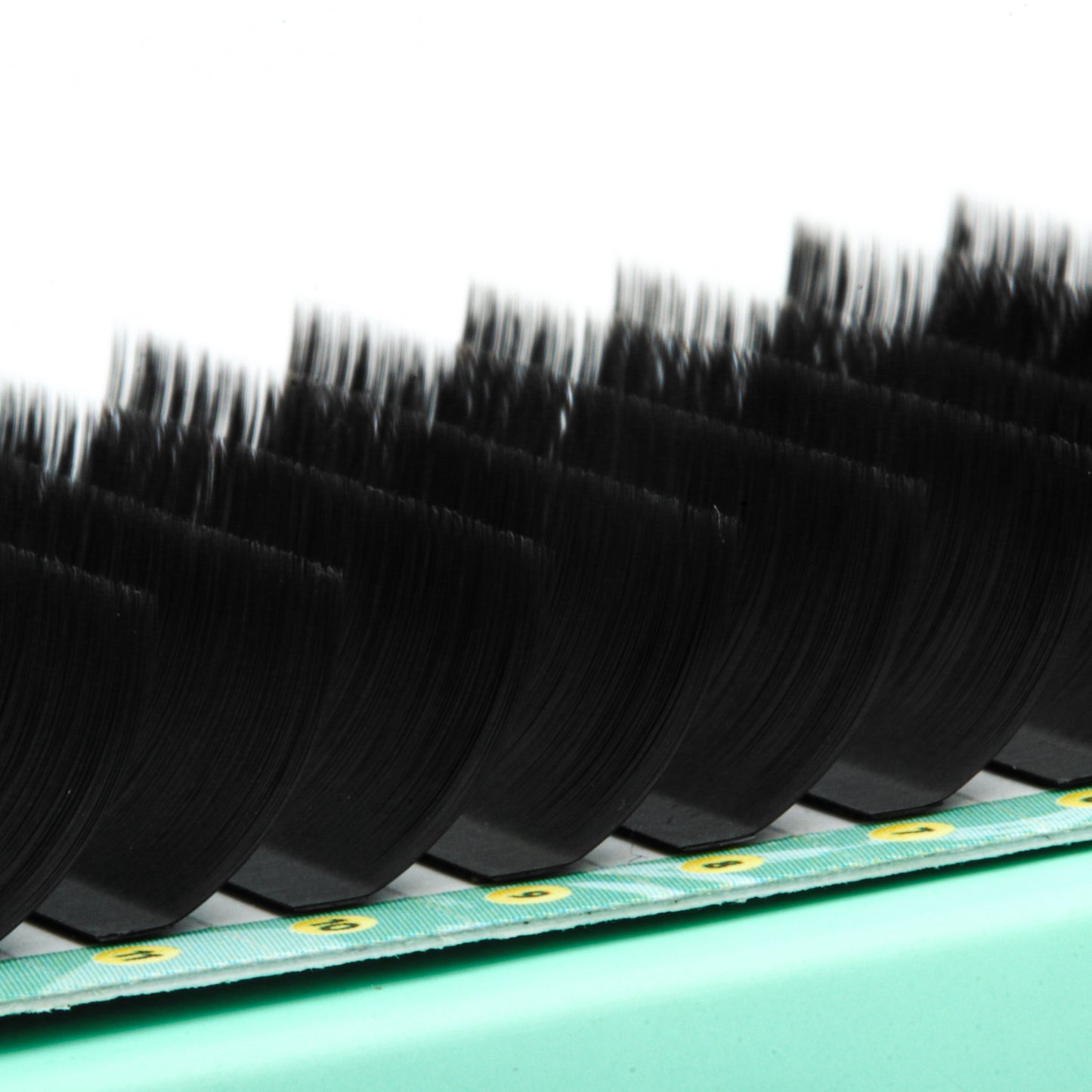LB Curl Lash Extensions