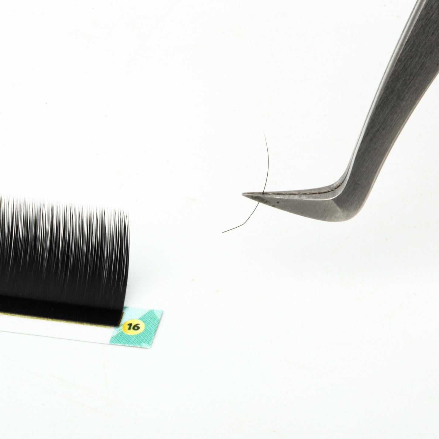 LB Curl Lash Extensions