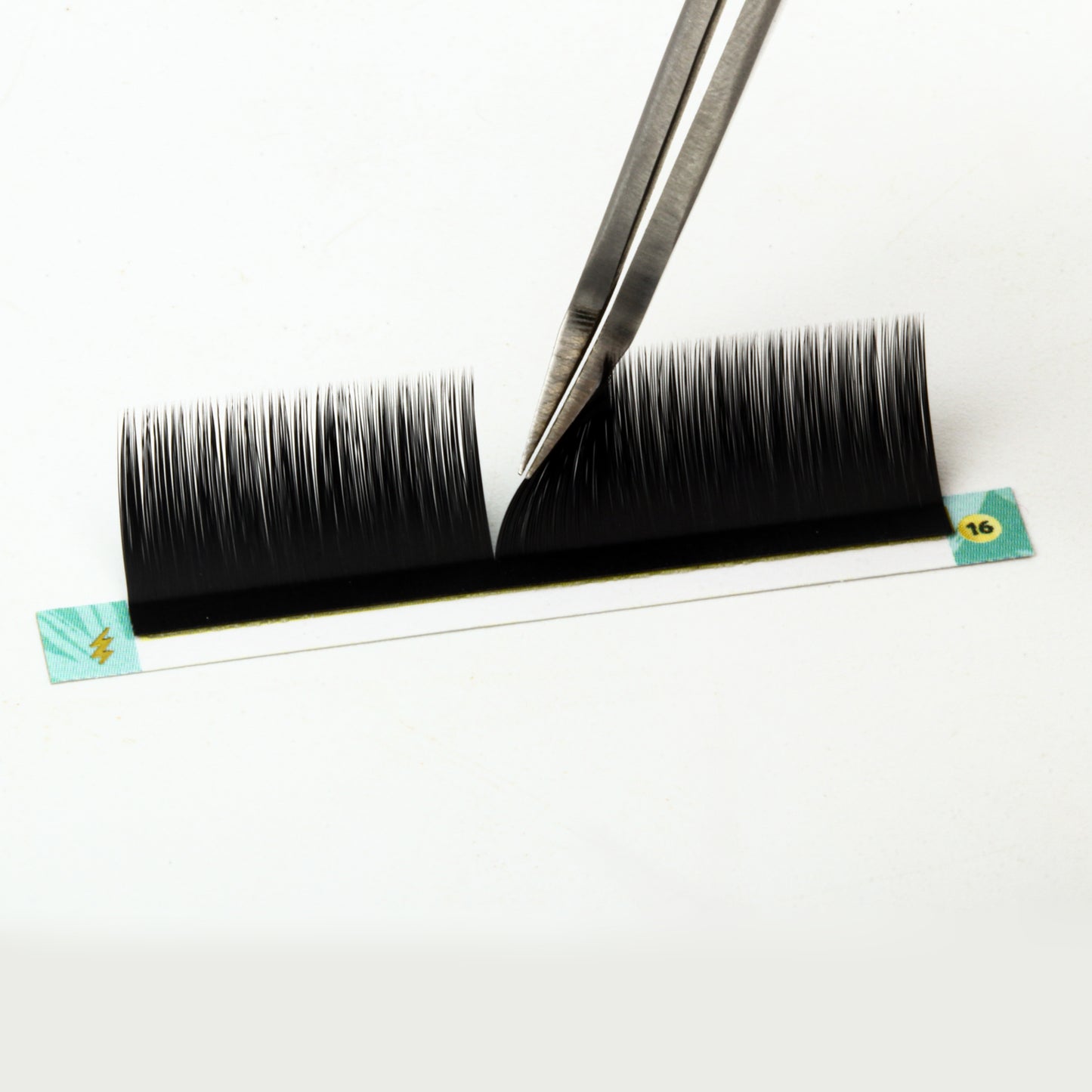 LB Curl Lash Extensions