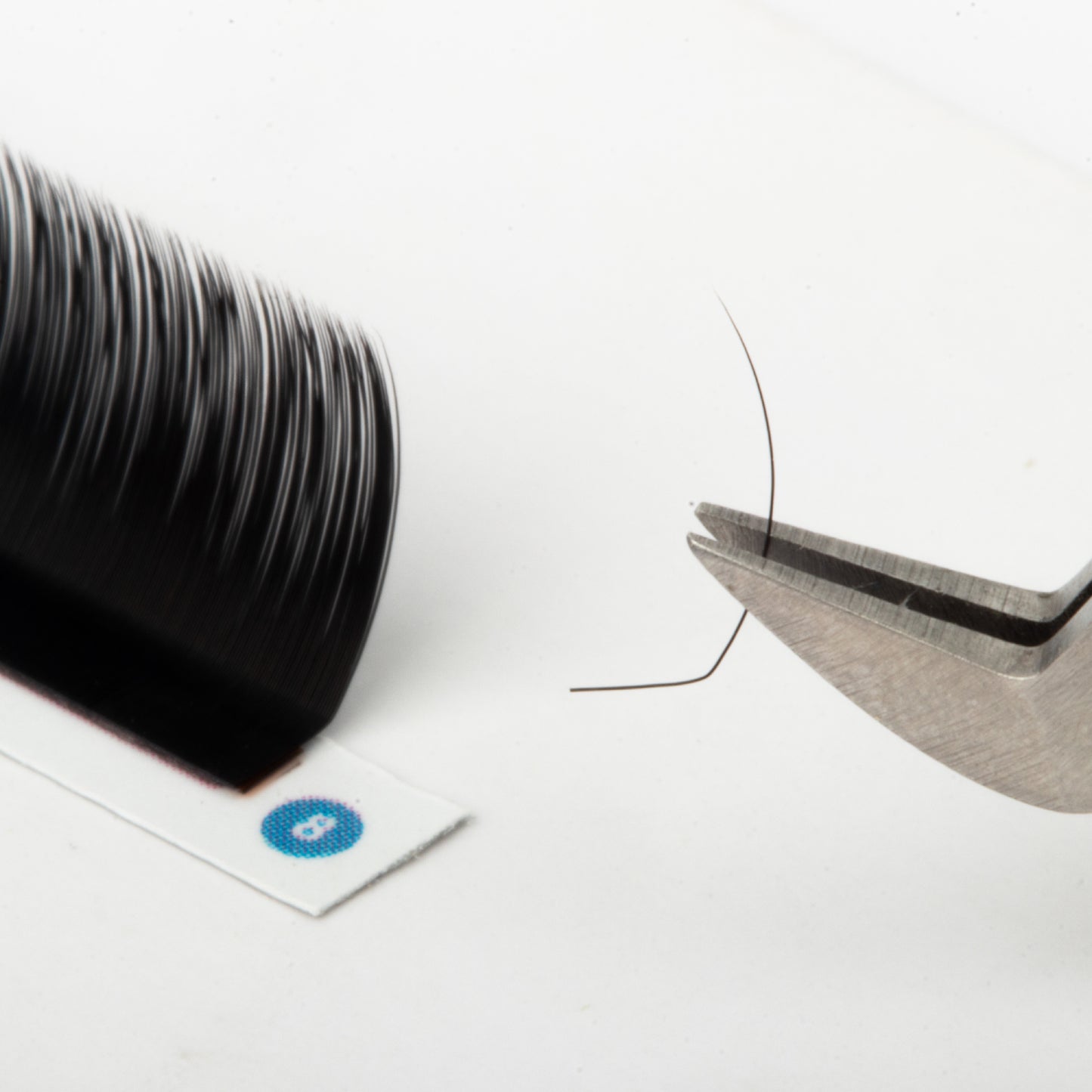 LC Curl Lash Extensions