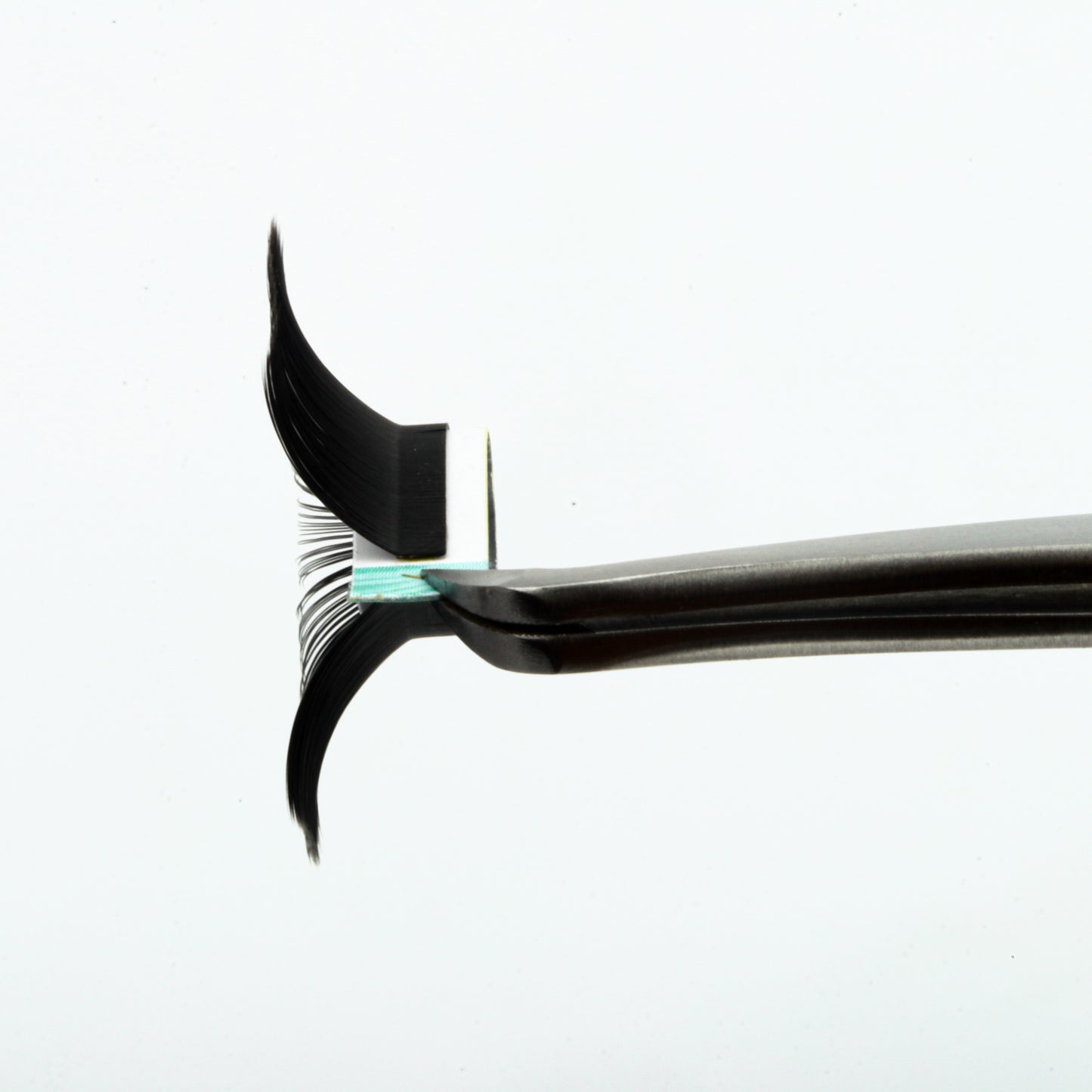 LC Curl Lash Extensions