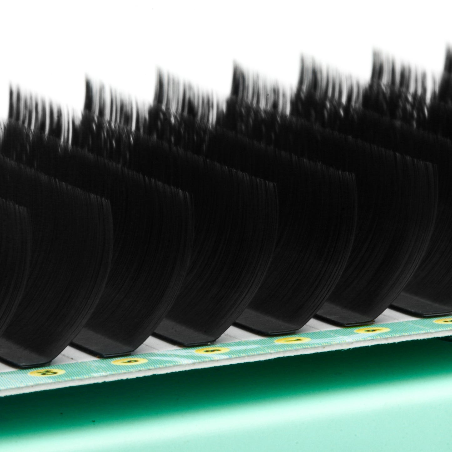 LC Curl Lash Extensions