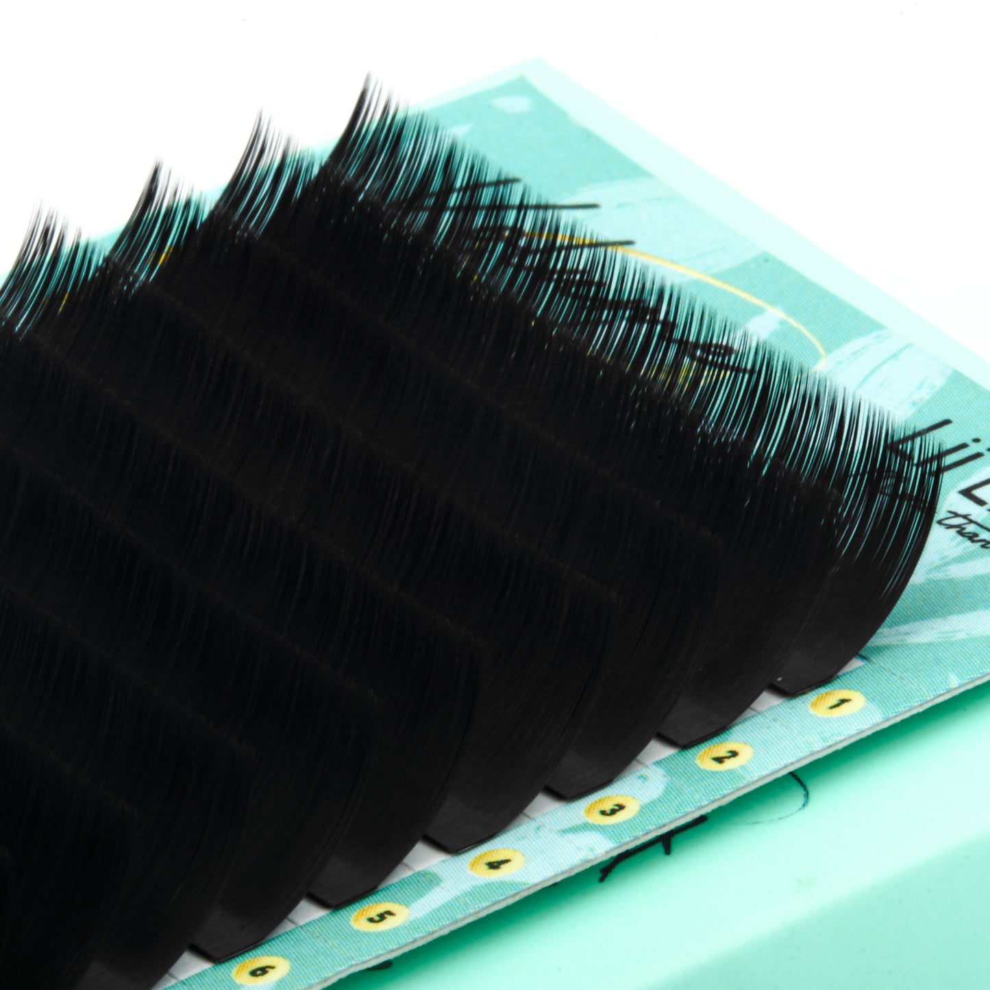 LJ Curl Lash Extensions