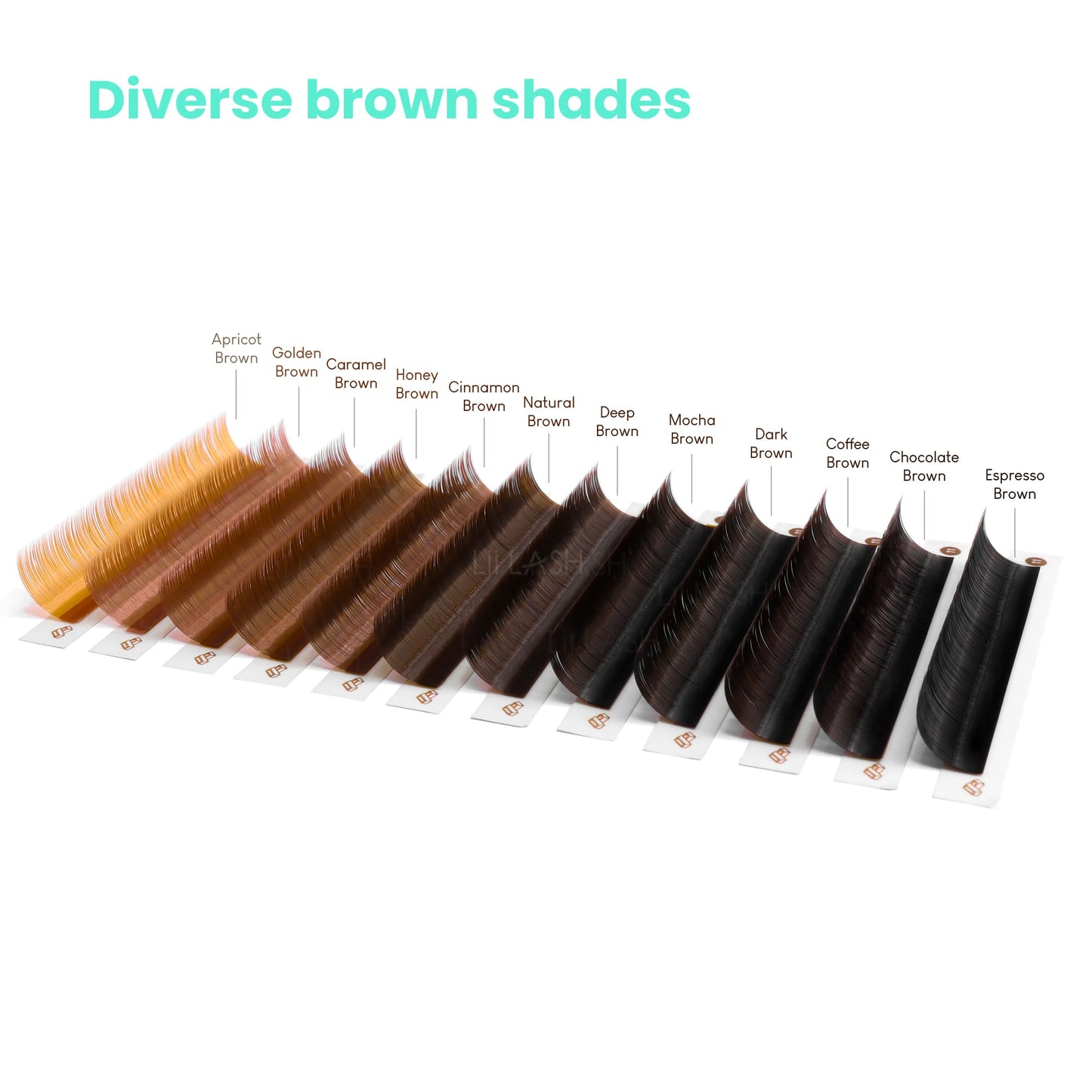 Lineup of Lii Lash's 12 brown lash extension shades, offering a spectrum from light to dark for diverse styling options