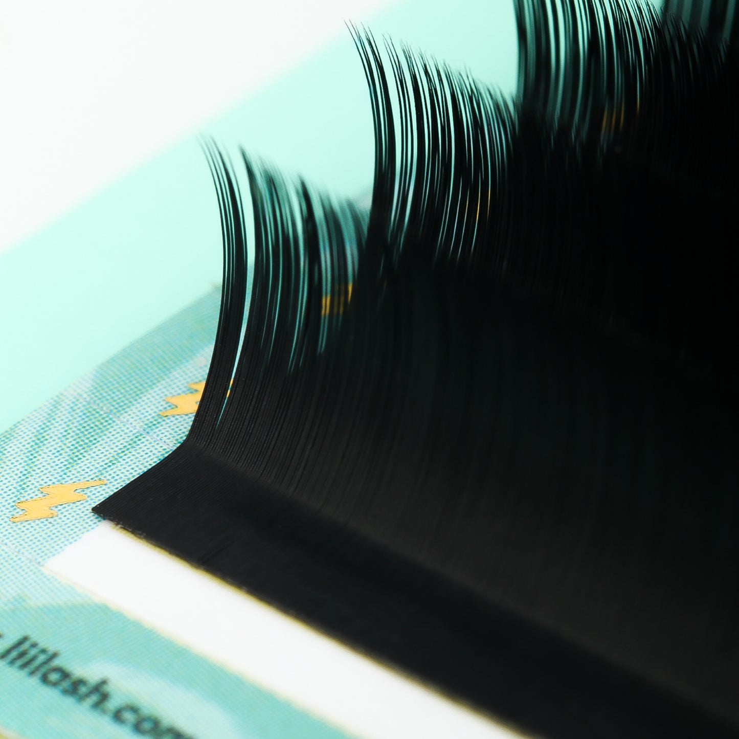 LC Curl Lash Extensions