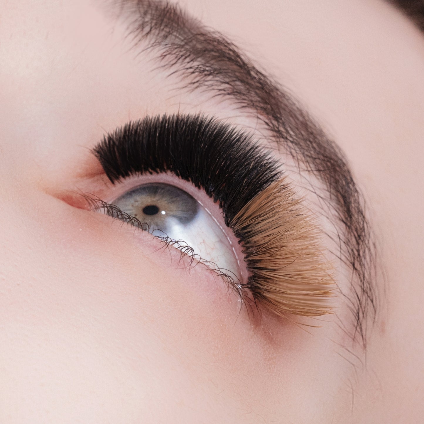 Matte Brown Lashes - Milky Brown