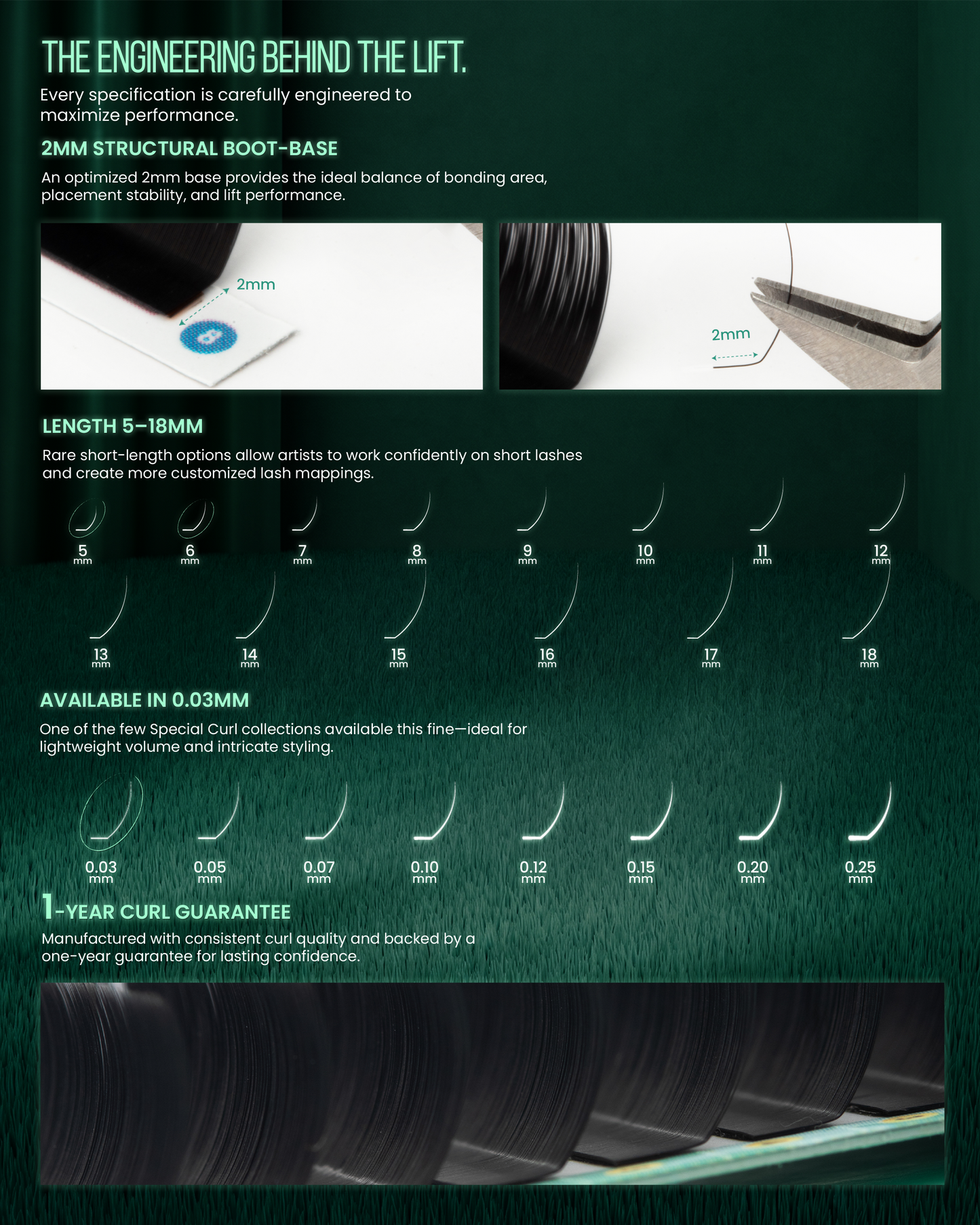 LB Curl Lash Extensions