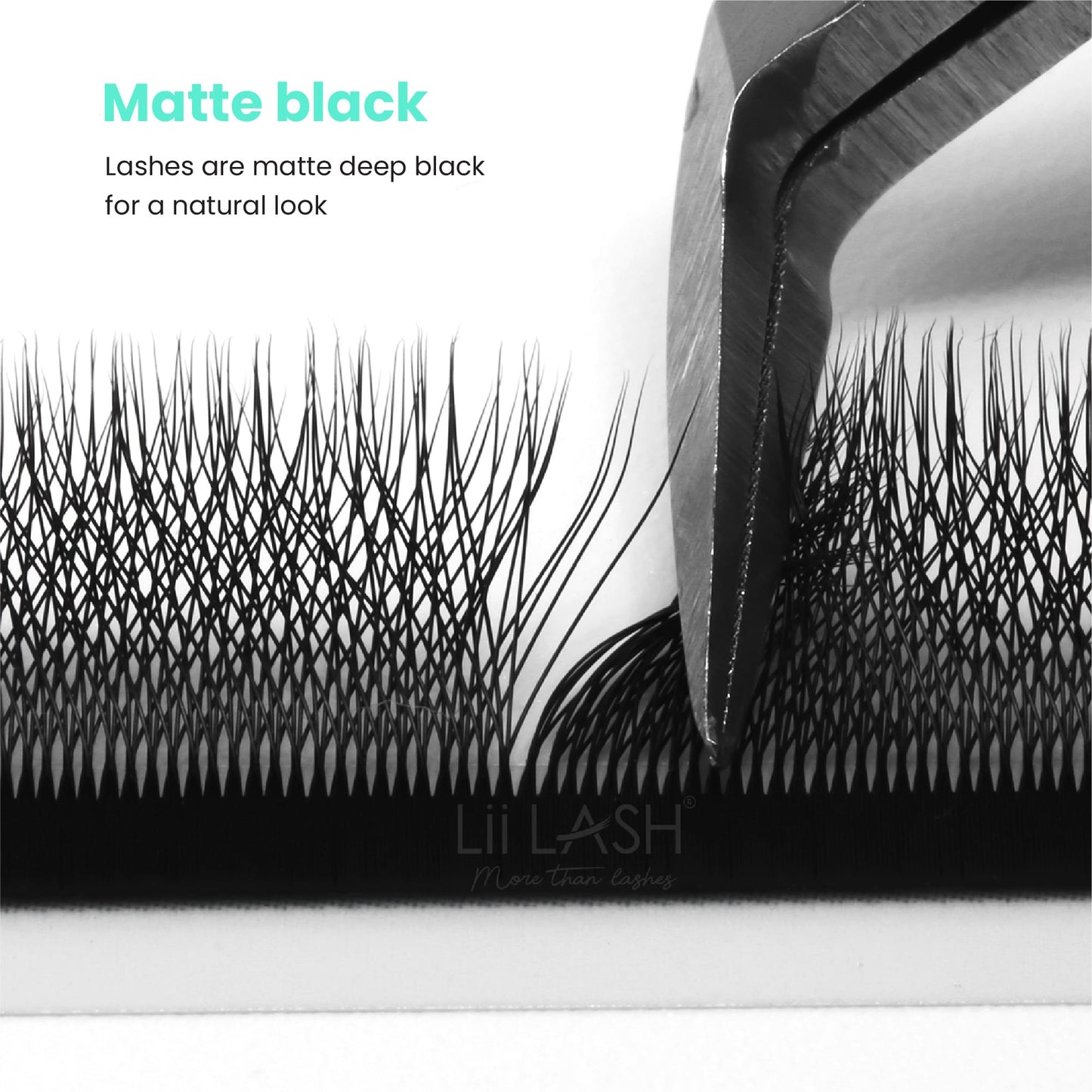 Matte-black-4DW-Lash