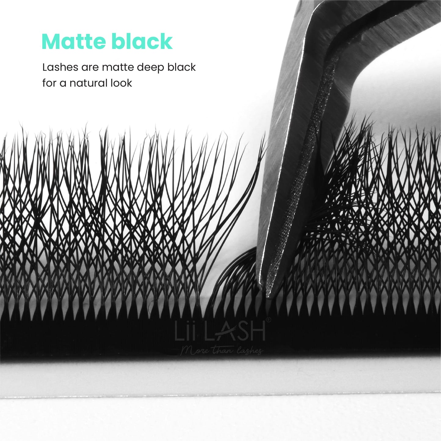 Matte-black-5DW-Lash