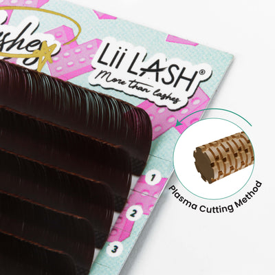 LIIGOS BROWN LASHES