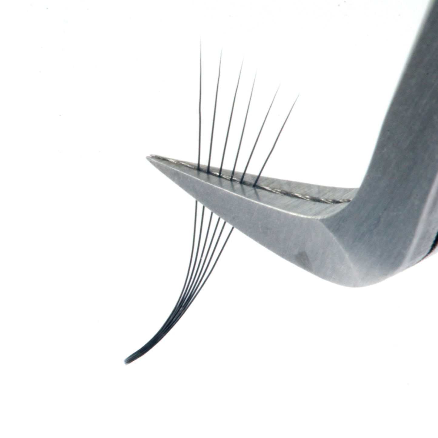 M Curl Premade Fans