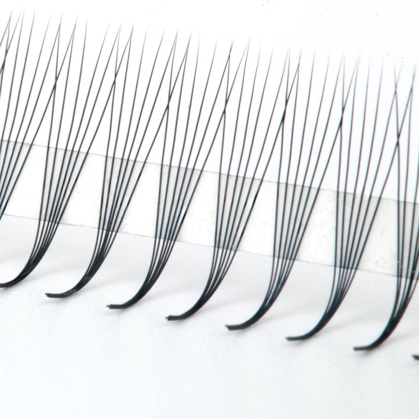 M Curl Premade Fans