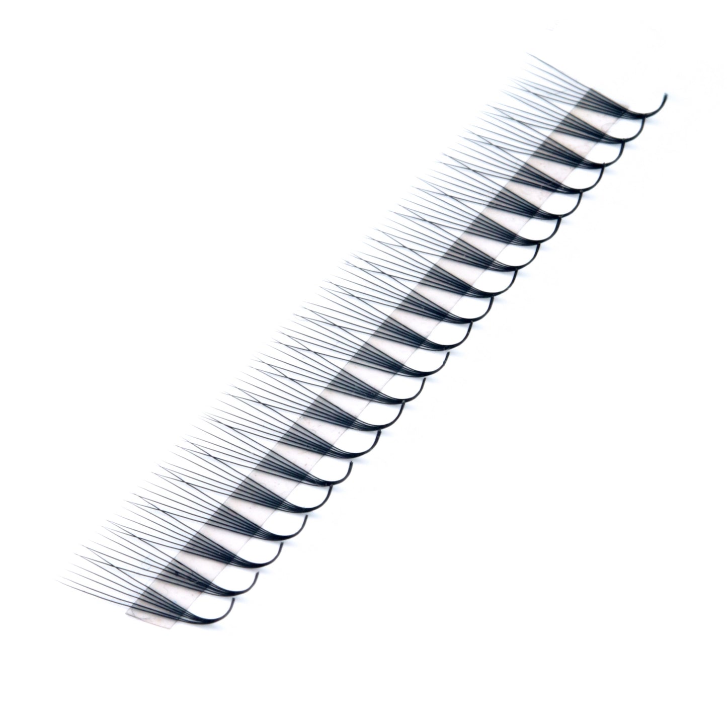M Curl Premade Fans