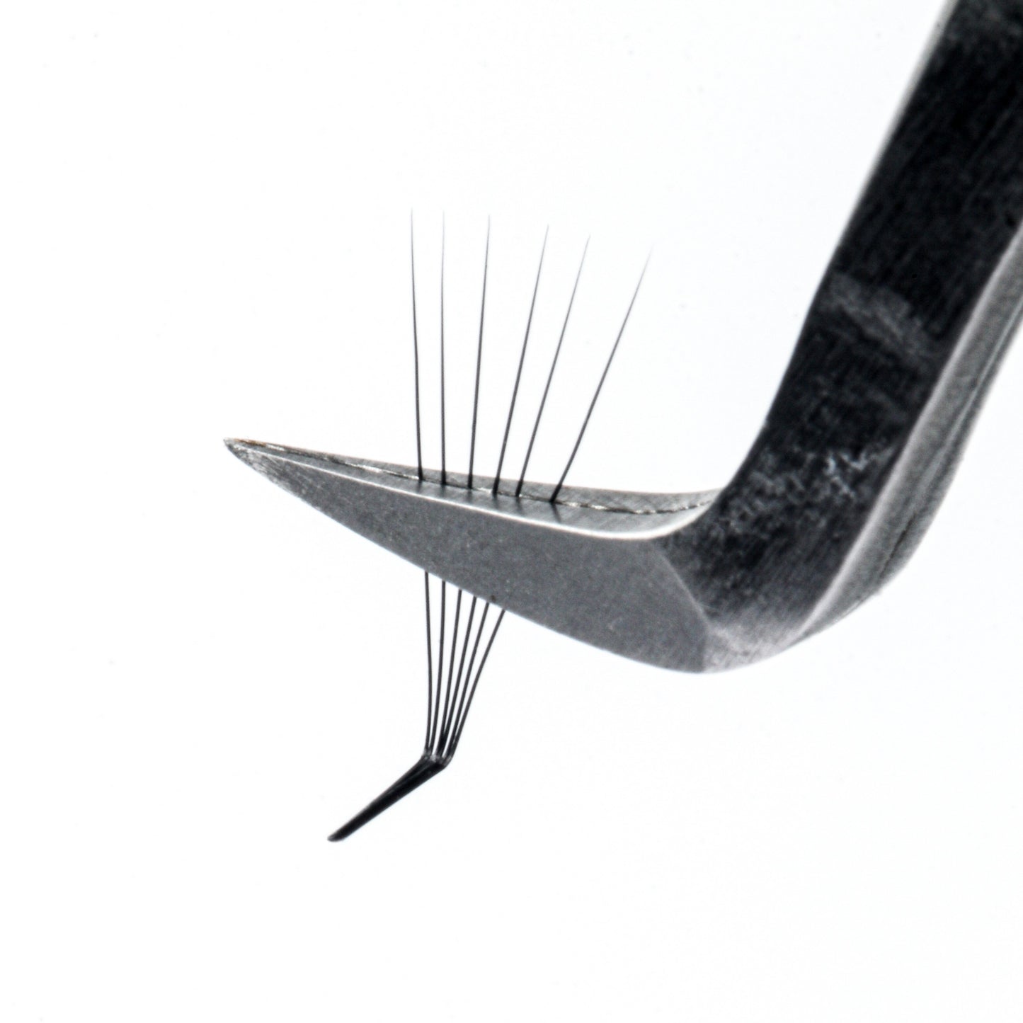 L Curl Premade Fans
