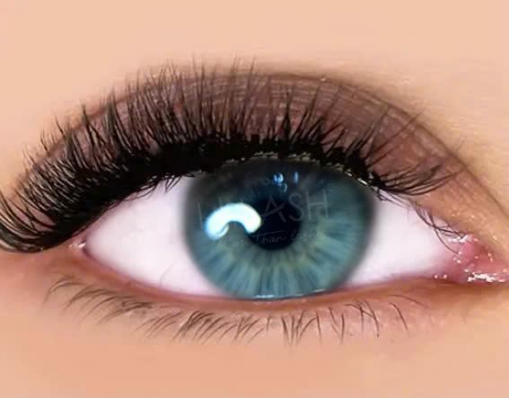 U-Shaped Lash Extensions