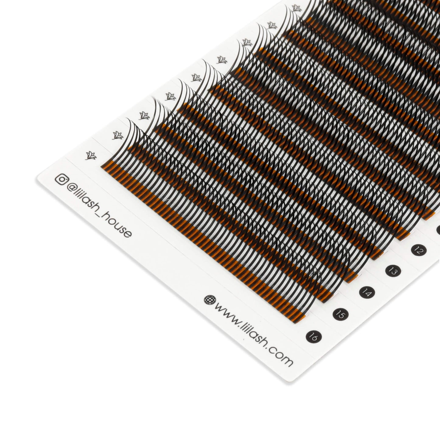 Spike Lashes - 0.07mm - spike lashes