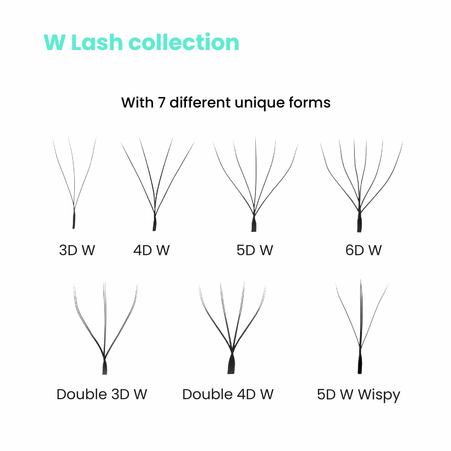 W-lash-extension-collection-7-types